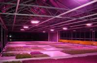 关于LED植物灯的10个误解，让耀嵘科技来告诉您真相是什么？