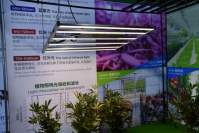 led植物灯品牌排行榜