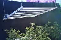 led植物补光灯的市场应用