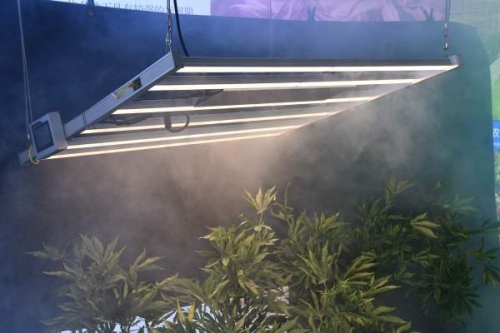 LED植物灯媲美于自然阳光且更胜一筹