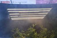 LED植物灯不亮的八大原因