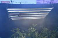 耀嵘科技LED植物灯六大特性帮助植物生长