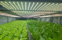 LED植物灯照明时间多长比较合适？