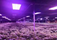 LED植物灯主要应用在哪些领域？