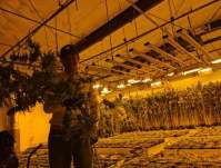 如何延长LED植物灯的使用寿命周期？